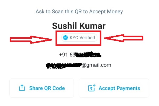 how to check KYC status in paytm
